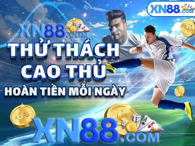 Trải nghiệm người dùng và phản hồi cộng đồng