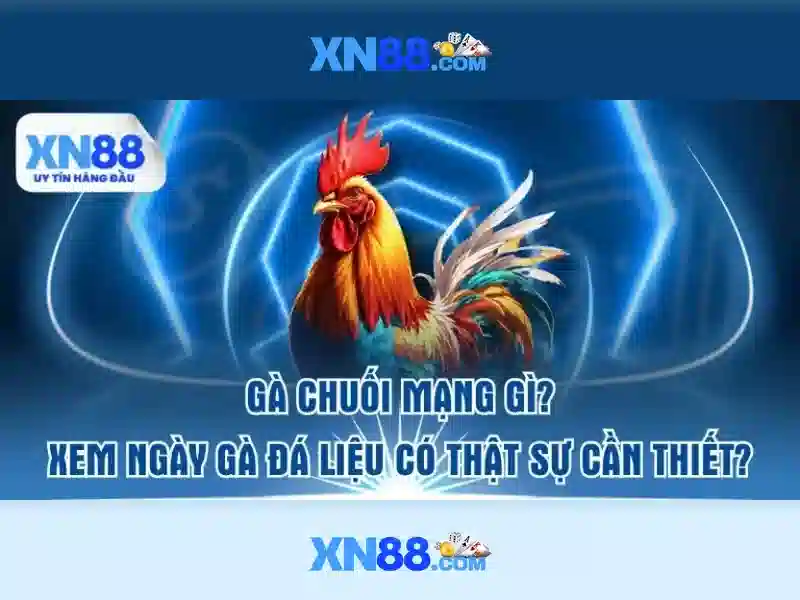 nhập code xn88 – Tổng quan chủ đề và giá trị cốt lõi