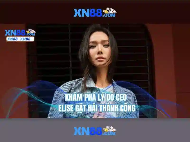 xn88: Đánh giá và hướng dẫn chi tiết