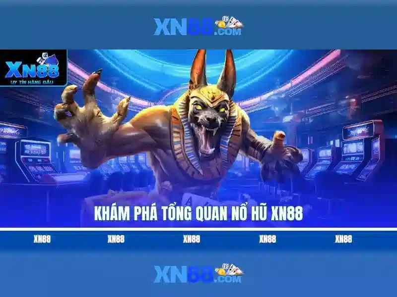 Lịch sử và nguồn gốc của xn88