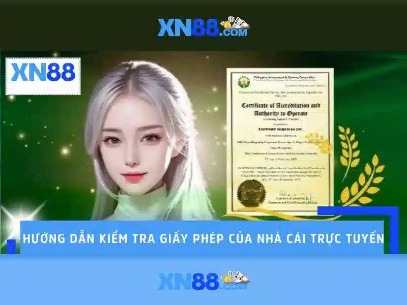 An toàn và pháp lý\n<h>Hỗ trợ người chơi</h>\n<p style=