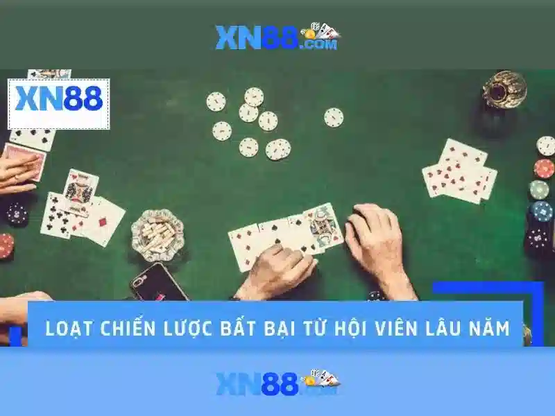 Nền tảng và cộng đồng người dùng