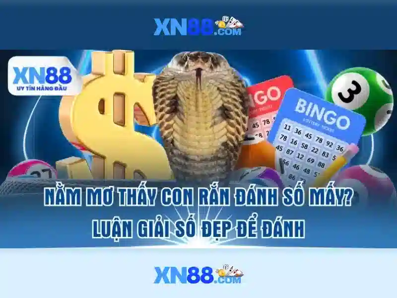 Các sản phẩm và dịch vụ của xn88