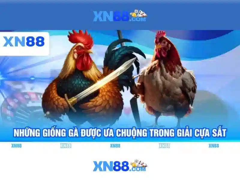 Xn88 và hành trình của một nền tảng giải trí trực tuyến