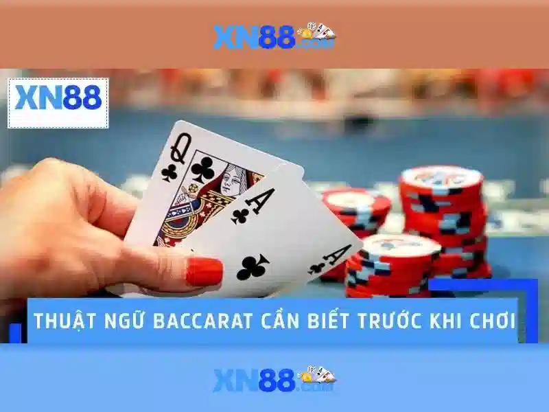 An toàn và bảo mật\n\n<h3>Hỗ trợ người dùng</h3>\n<p style=