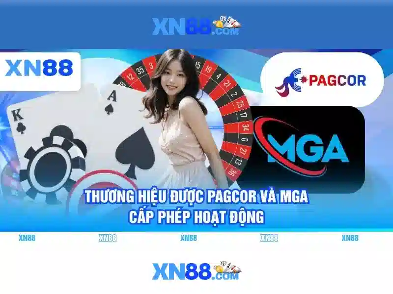 Giới thiệu về XN88