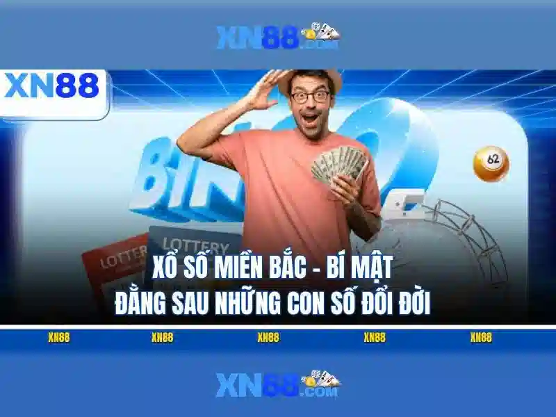 Trải nghiệm người dùng và hỗ trợ