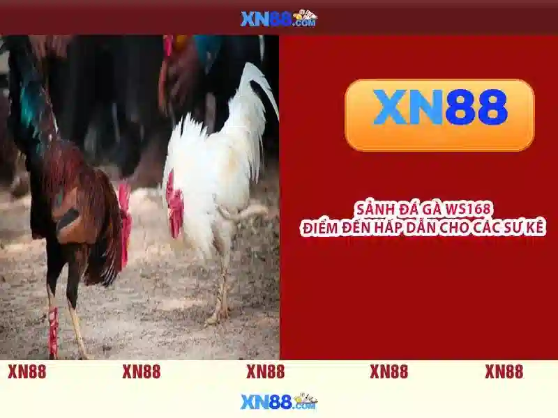 xn88: Nền tảng chơi trực tuyến an toàn và tiện lợi