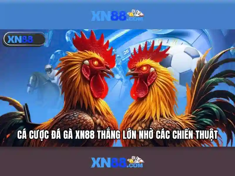 XN88: Nền tảng cá cược trực tuyến hàng đầu tại Việt Nam
