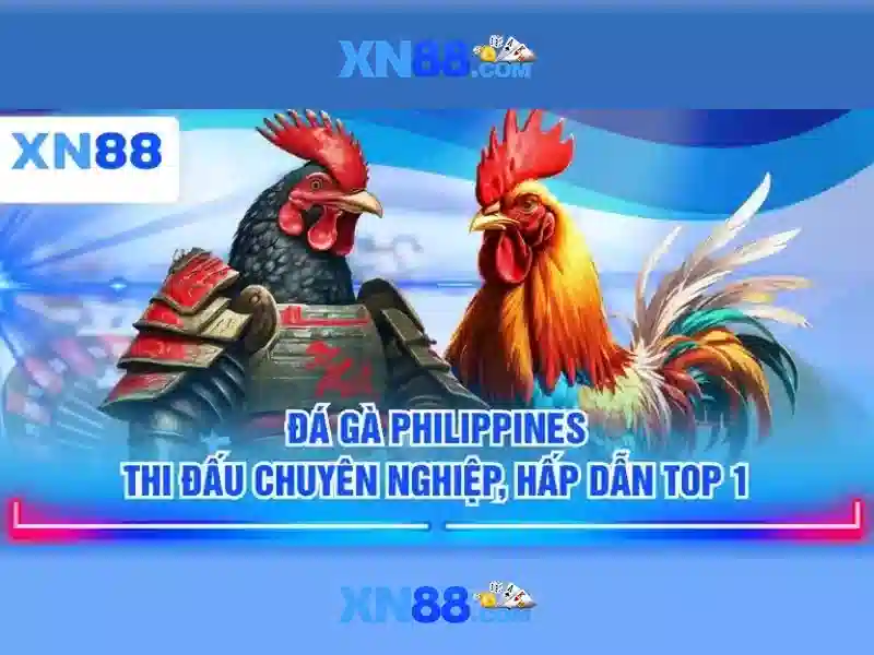 Quy định và an toàn cho người chơi