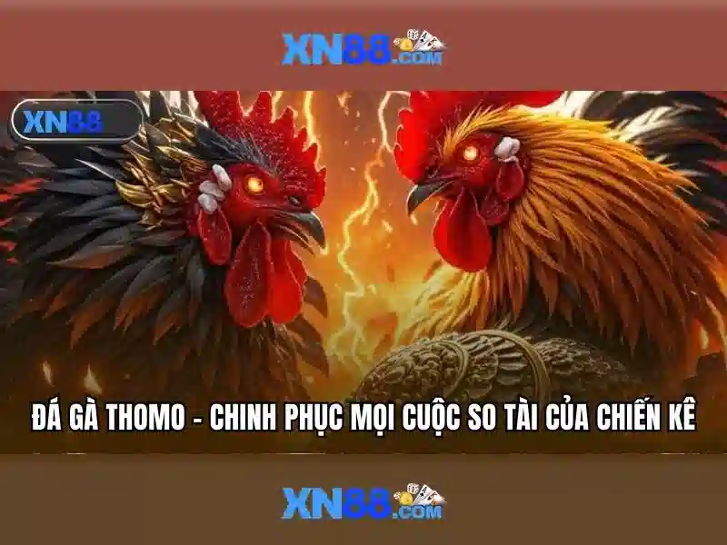 cách tải xn88 – sản phẩm và dịch vụ cốt lõi