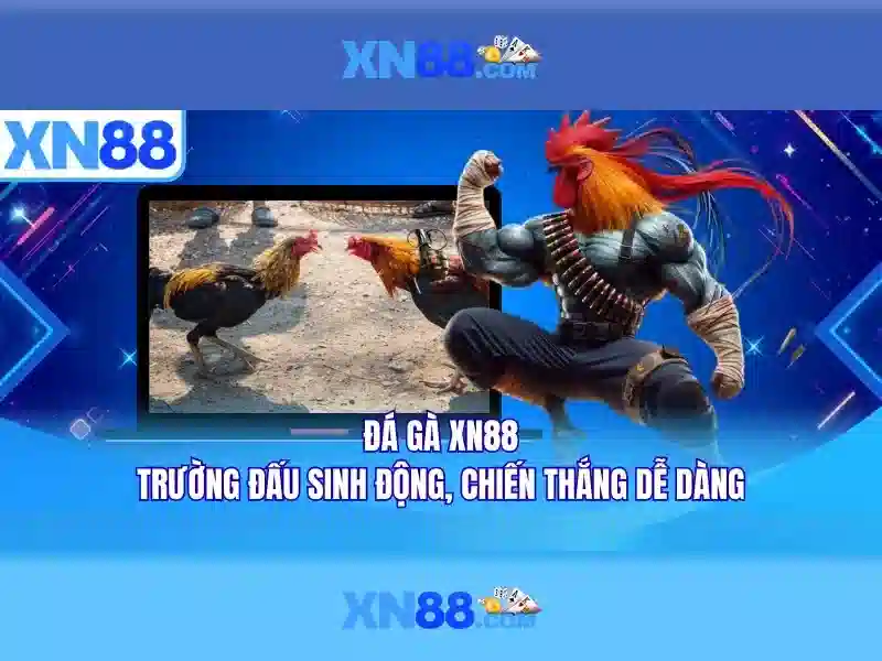 XN88: Nền tảng trực tuyến đa dịch vụ