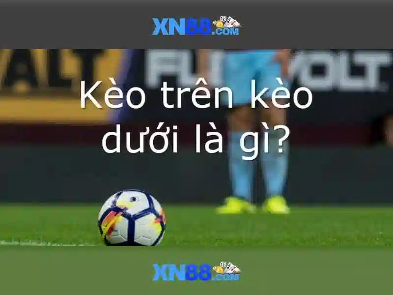 Ghi chú và trách nhiệm