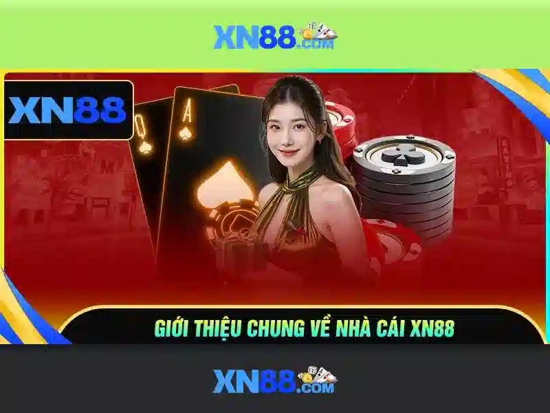 An toàn và trách nhiệm khi chơi