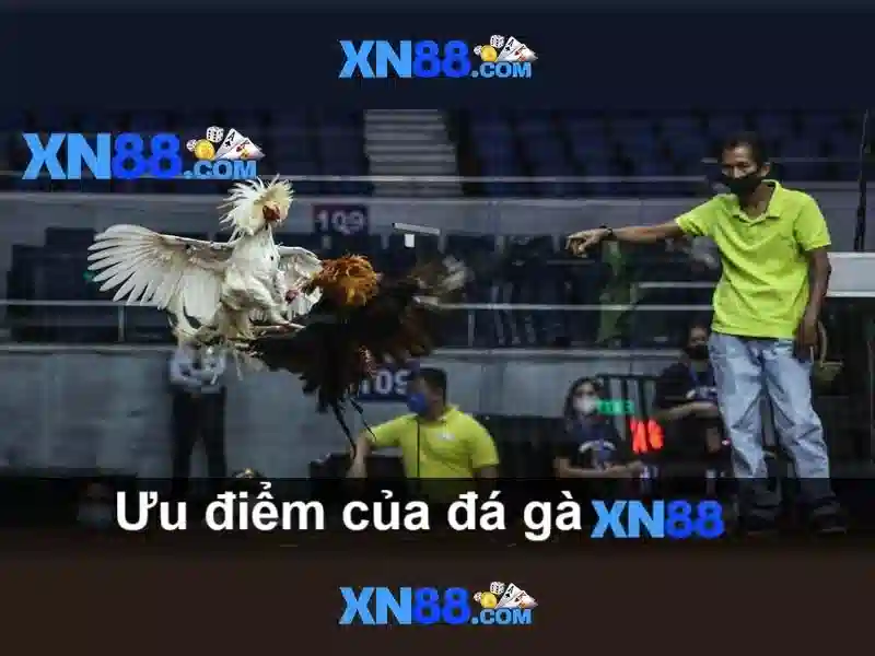 Cách tham gia và bắt đầu