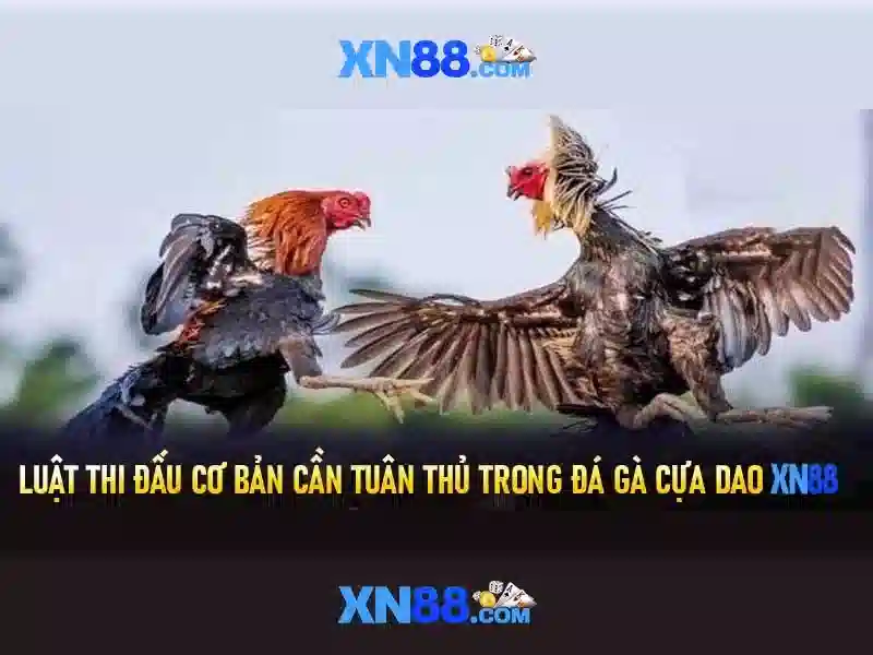 Trải nghiệm người dùng và bảo mật\n<h>Chính sách thanh toán và rút tiền</h><p style=
