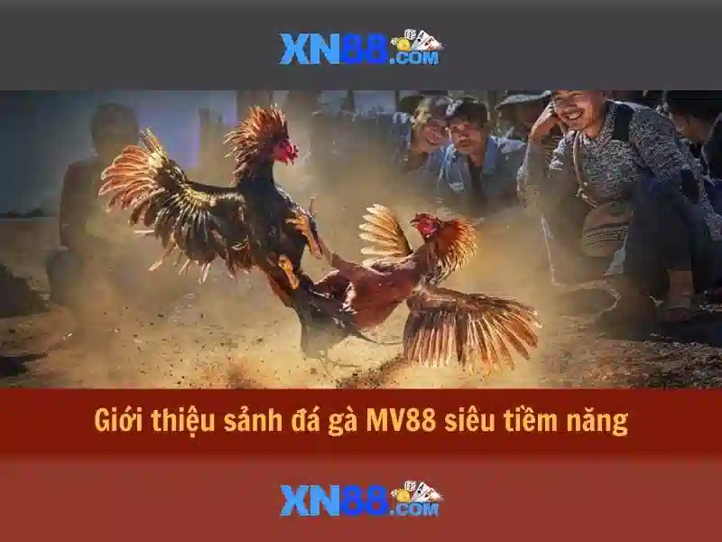 xn88: Tổng quan, đánh giá và hướng dẫn sử dụng