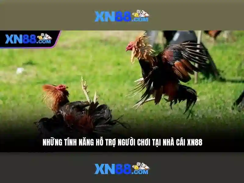 Giới thiệu về XN88