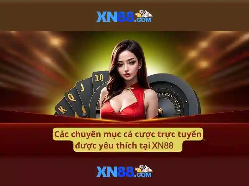 Trải nghiệm người dùng và phản hồi cộng đồng\n<h2 style=