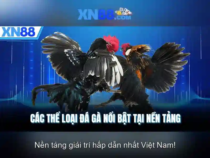 Tổng quan xn88-m***.com