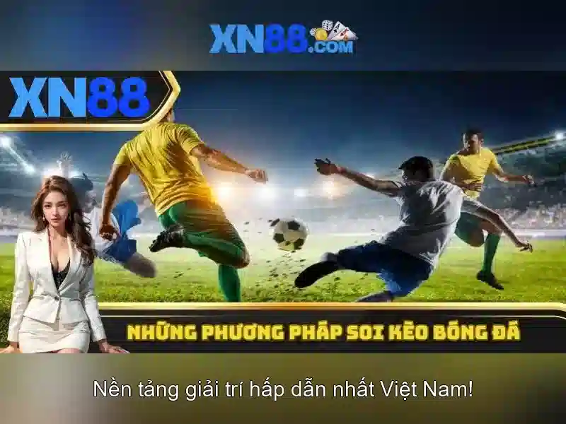 Hướng dẫn tham gia và khuyến nghị