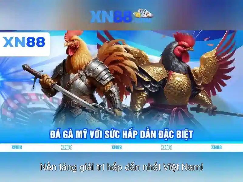xn88: Nền tảng cá cược trực tuyến