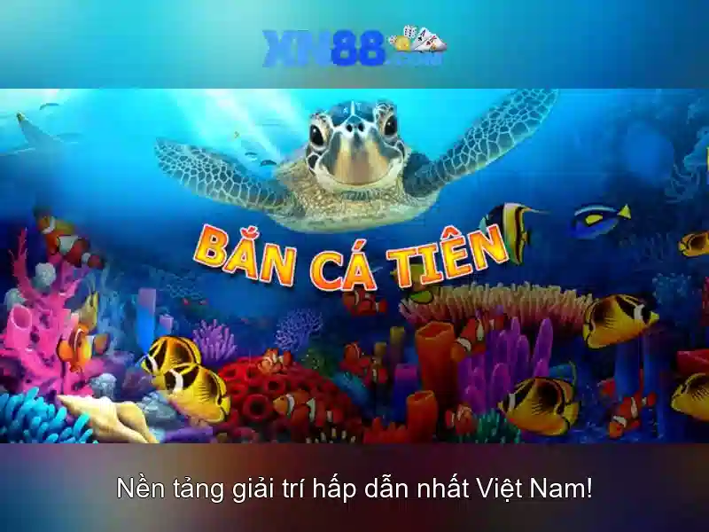Giới thiệu về xn88