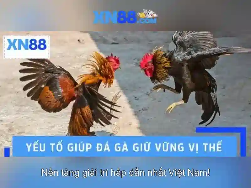xn88 — Tổng quan về nền tảng và các tính năng