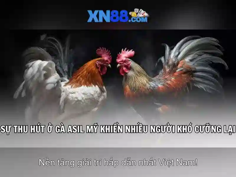 xn88: một nền tảng game trực tuyến nổi bật