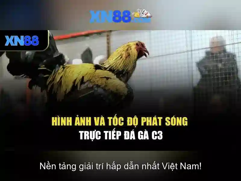 Tính năng nổi bật và trải nghiệm người dùng