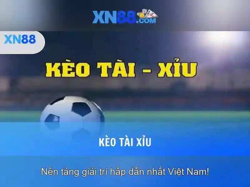 Đánh giá và phản hồi từ người dùng