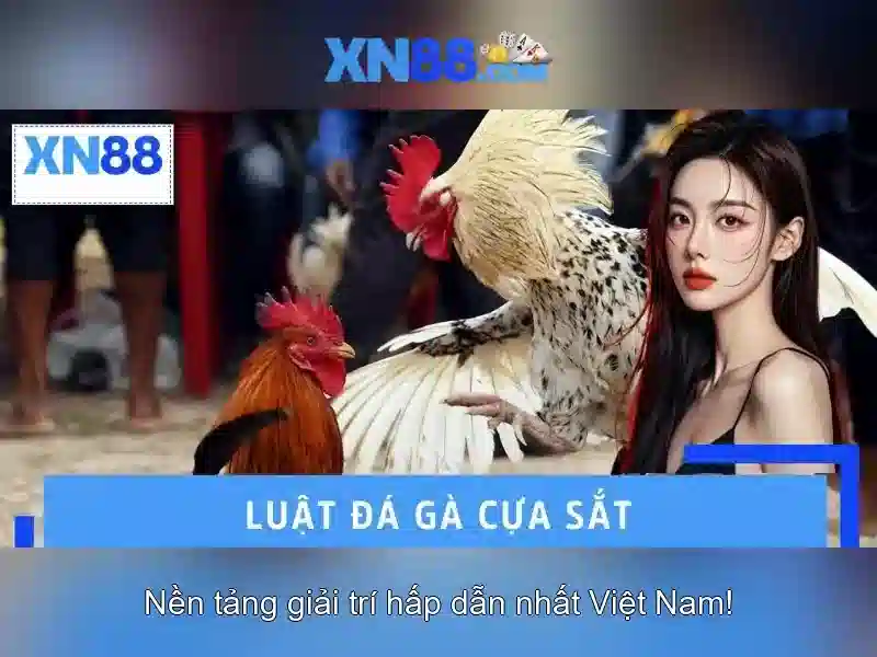 An toàn và thanh toán