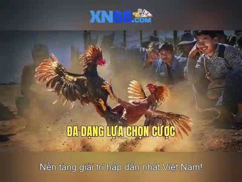 Khuyến mãi và an toàn khi cược