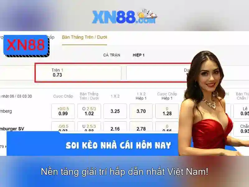 An toàn và trách nhiệm khi tham gia
