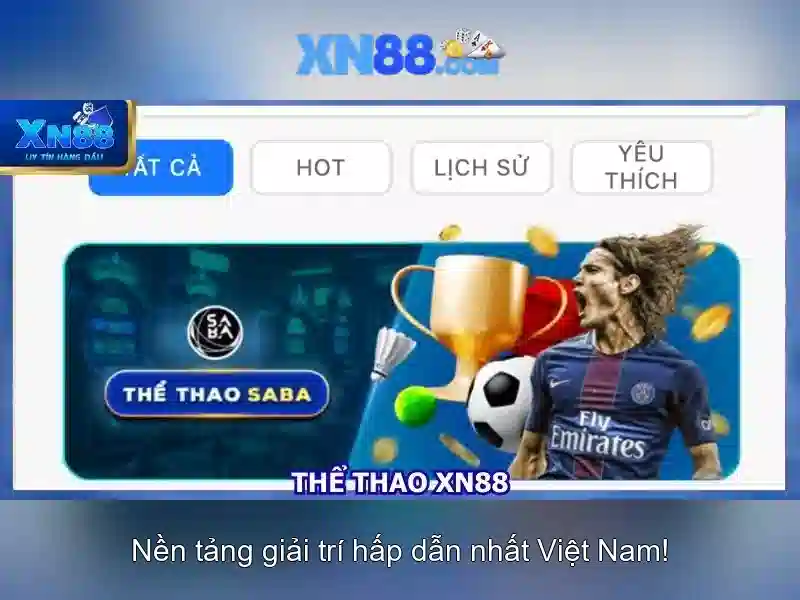 Chú ý pháp lý và trách nhiệm