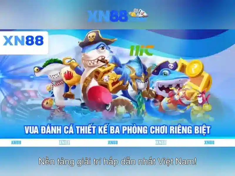 Kết luận