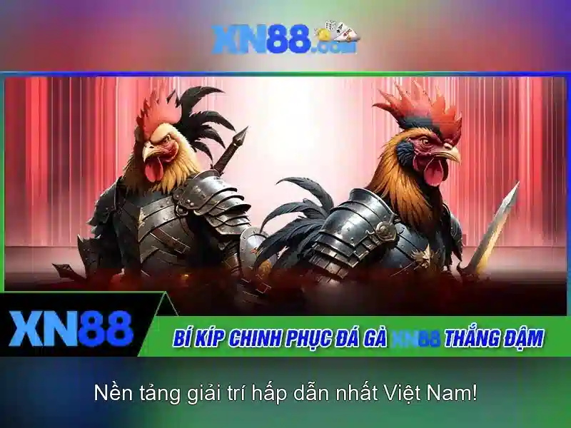 Đánh giá xn88: Nền tảng cá cược và trò chơi trực tuyến