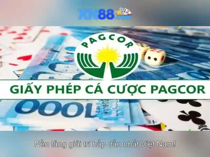 Các trò chơi và nền tảng\n\n<h2 style=