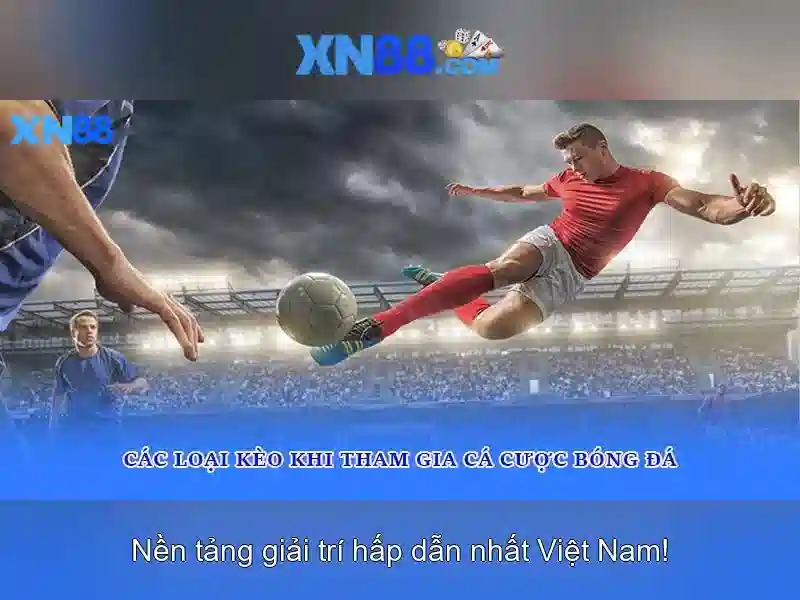 Hướng dẫn bắt đầu