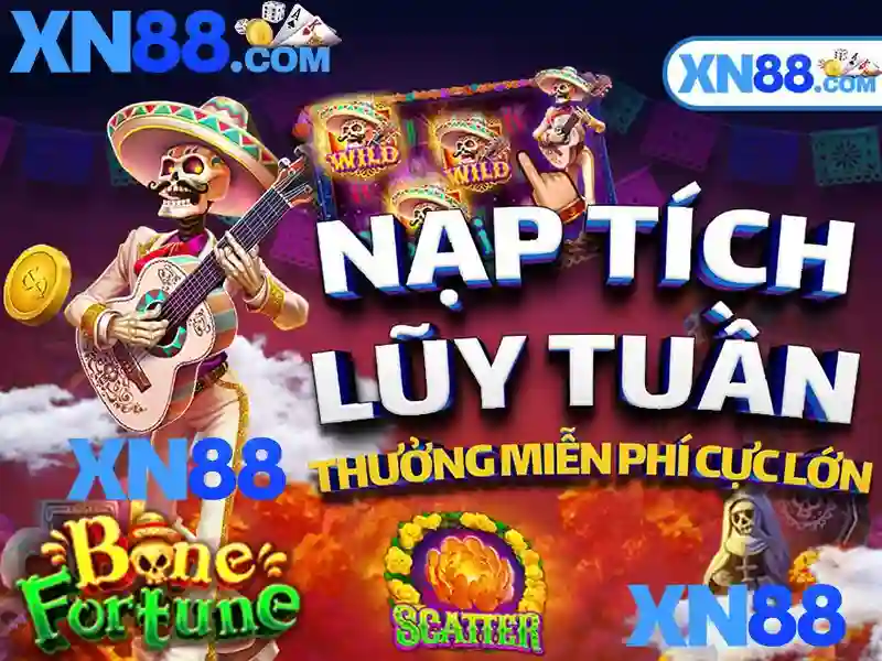 Đánh giá và lưu ý khi chọn nền tảng cá cược\n