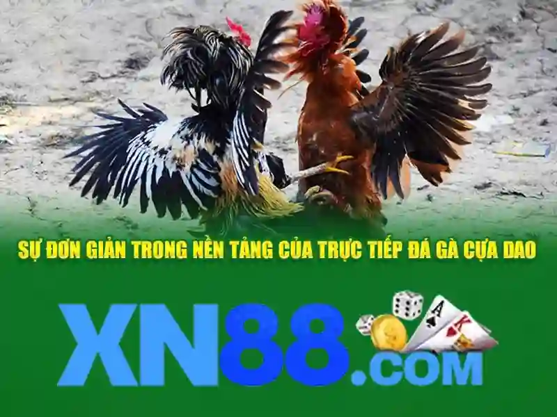 nhà cái xn88 – Phương hướng phát triển và tầm nhìn