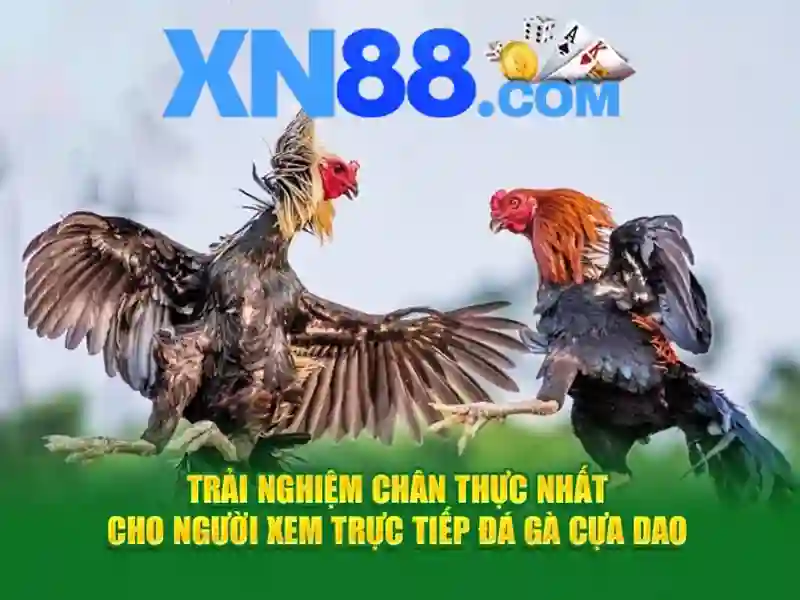 xn88: Trải nghiệm đột phá và câu chuyện thương hiệu